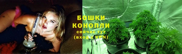 крисы Иннополис