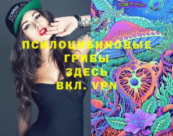 кокс Инта