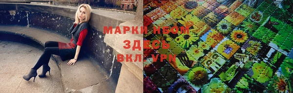 кокс Инта