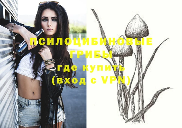 крисы Иннополис