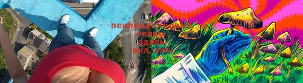 кокс Инта
