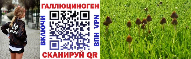 Галлюциногенные грибы мицелий  OMG вход  Ирбит  продажа наркотиков 
